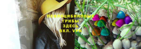 mdpv Володарск